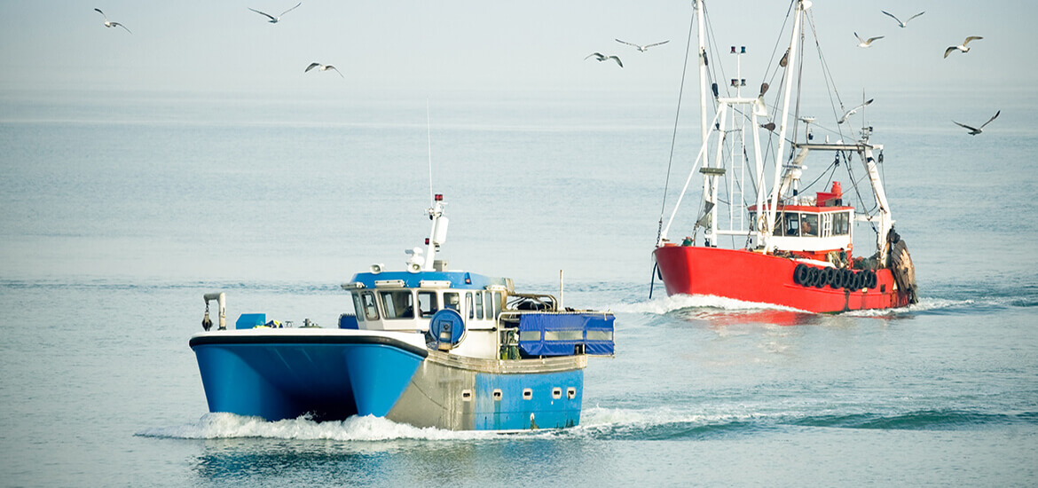 Image of two boats - one red and one blue - returning to harbor after being at sea on a calm, sunny day on the water.