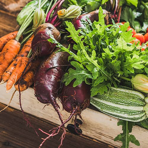 农场的桌子上有新鲜收获的时令蔬菜，包括南瓜, 西葫芦, 甜菜, 胡萝卜和西红柿.