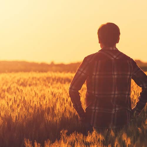 Square_500x500_ManInWheatField-original Simplot.com