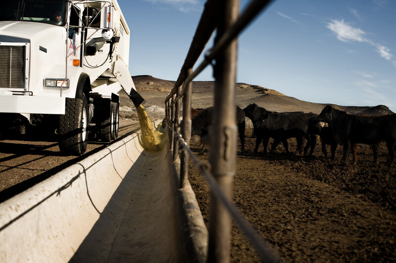 LL_Feedlot_Feedtruck_Full Color_Photo