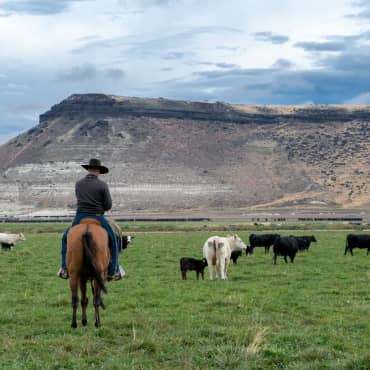Square_370x370_CowboyOnHorse-original Simplot.com