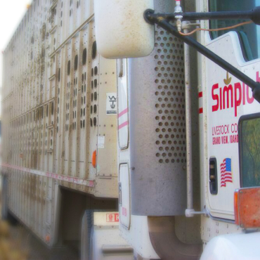 Photo of door and side of Simplot livestock hauling truck.