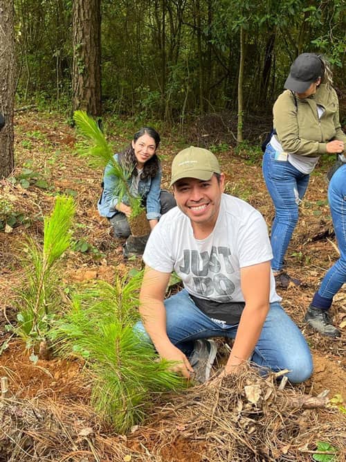 Morelia Reforestation Campaign