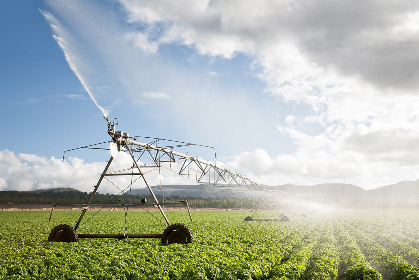 Sustainably Simplot Reducing Our Water Consumption In A Thirsty World