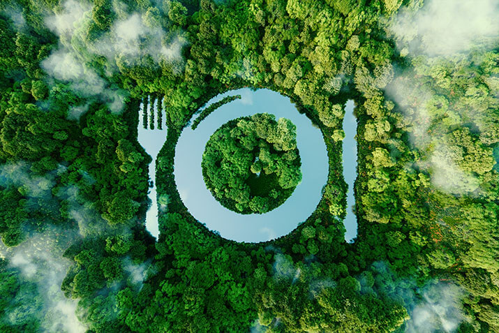 Ways that restaurants can incorporate sustainability