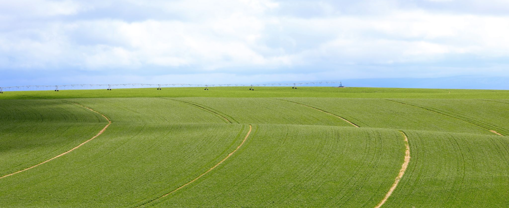 Big Field with Irrigation tracks