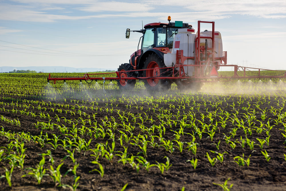 Sprayer in young corn field