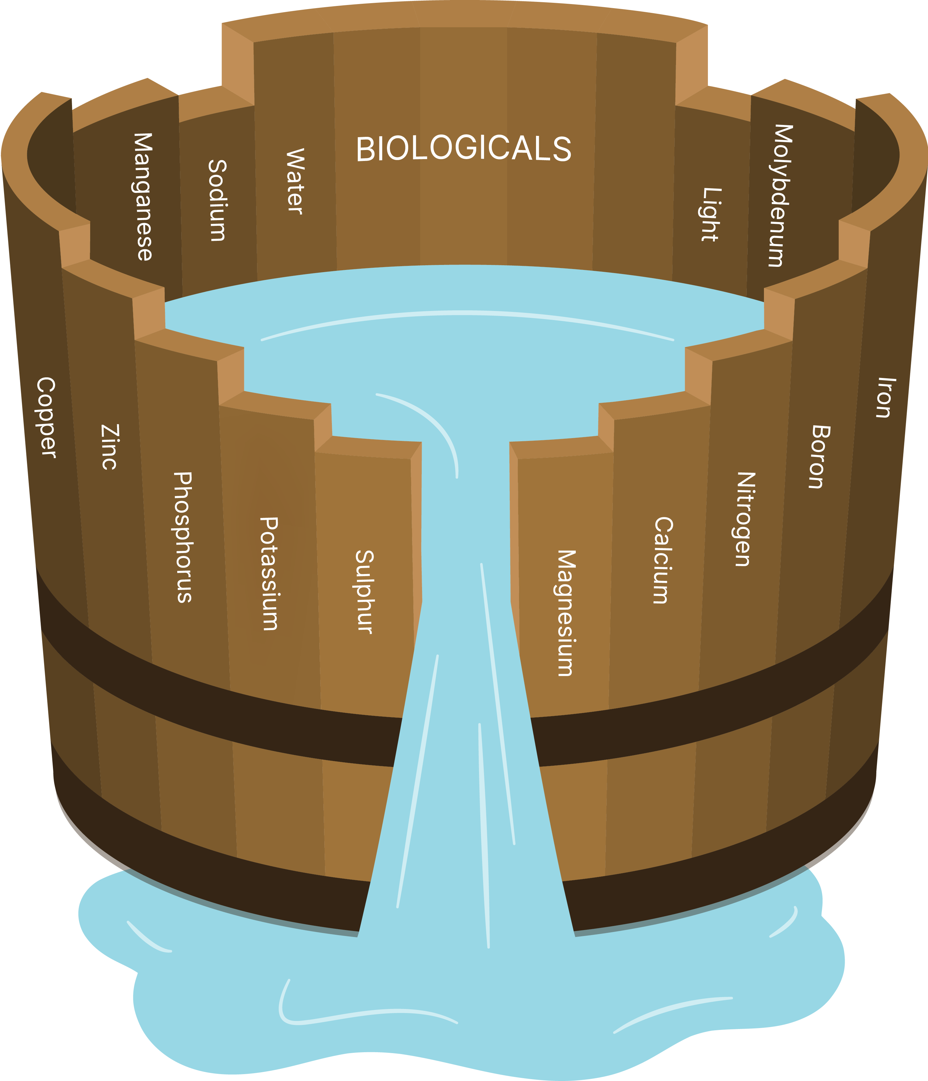 Leibigs law of minimum