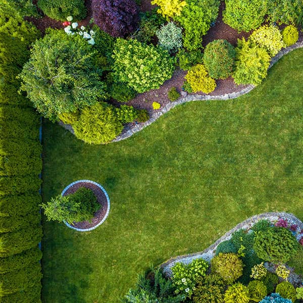 Aerial lawn view