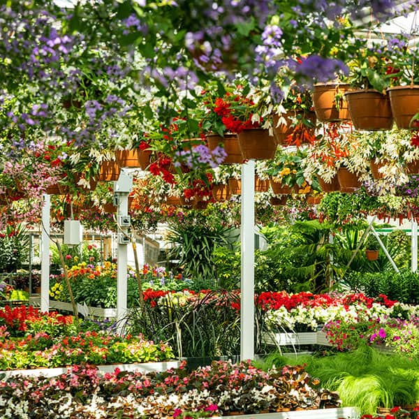 Nursery view