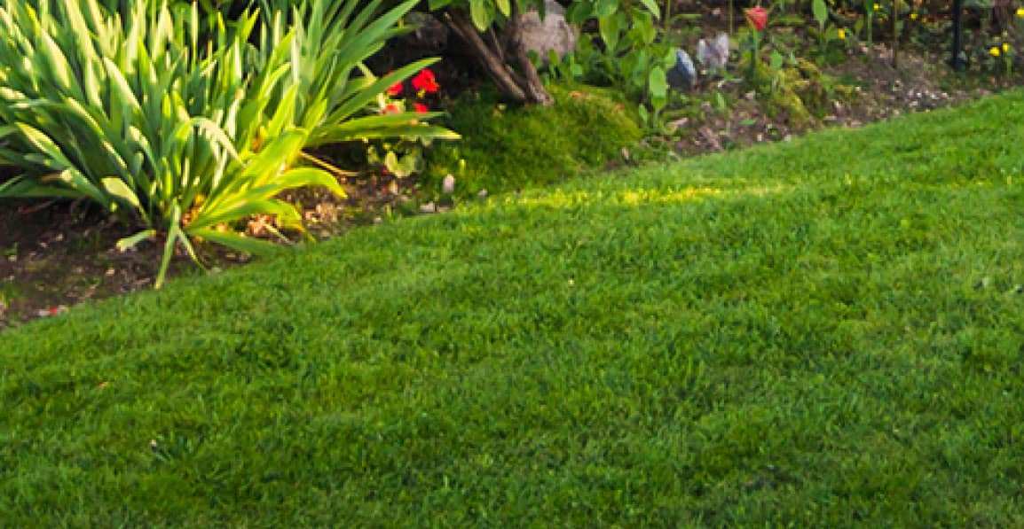 How To Calibrate A Granular Rotary or Centrifugal Broadcast Spreader