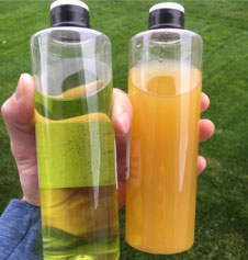 Fe-sulfate mixed with pH 8.0 water bottles