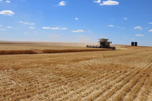 Simplot Grower Solutions Canada Home Page – agriculture products and ...