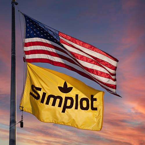 Photo of Simplot Company and United States flags waving in the breeze under sunny skies.