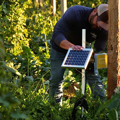 Image of SGS Crop Advisor inspecting a solar panel-powered crop data collection probe in a field of hops.
