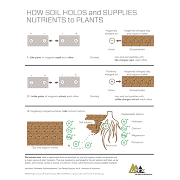 How Soil Holds and Supplies Nutrients pdf thumbnail