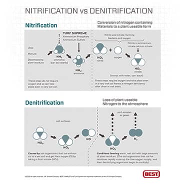 Nitrification vs Denitrification pdf thumbnail