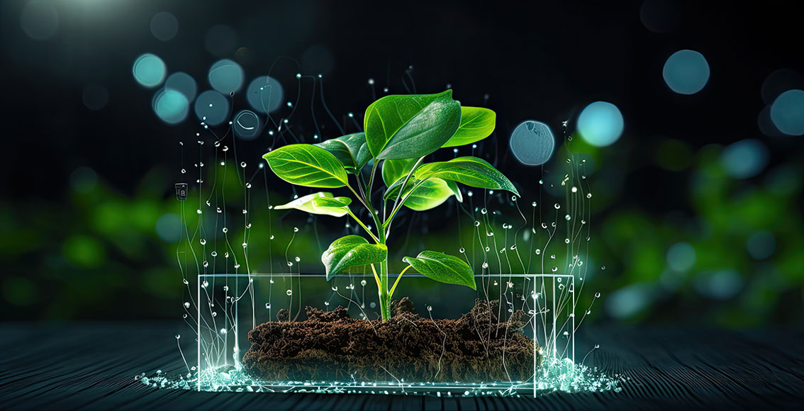 Young plant with cyber display of technological smart farming