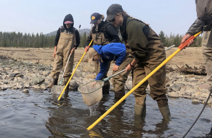 Workers assisting with fish migration