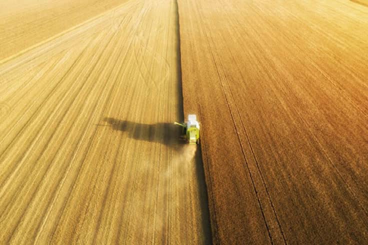 Aerial view of a combine harvesting
