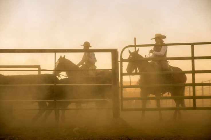 Cowboys on horseback in dust