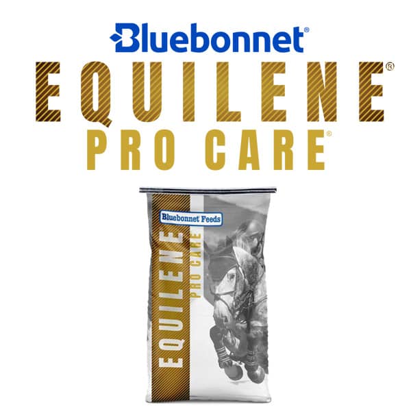 Bluebonnet Equilene Pro Care
