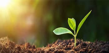 Simplot Premieres New Video Highlighting Diverse, Mine to Plate ...