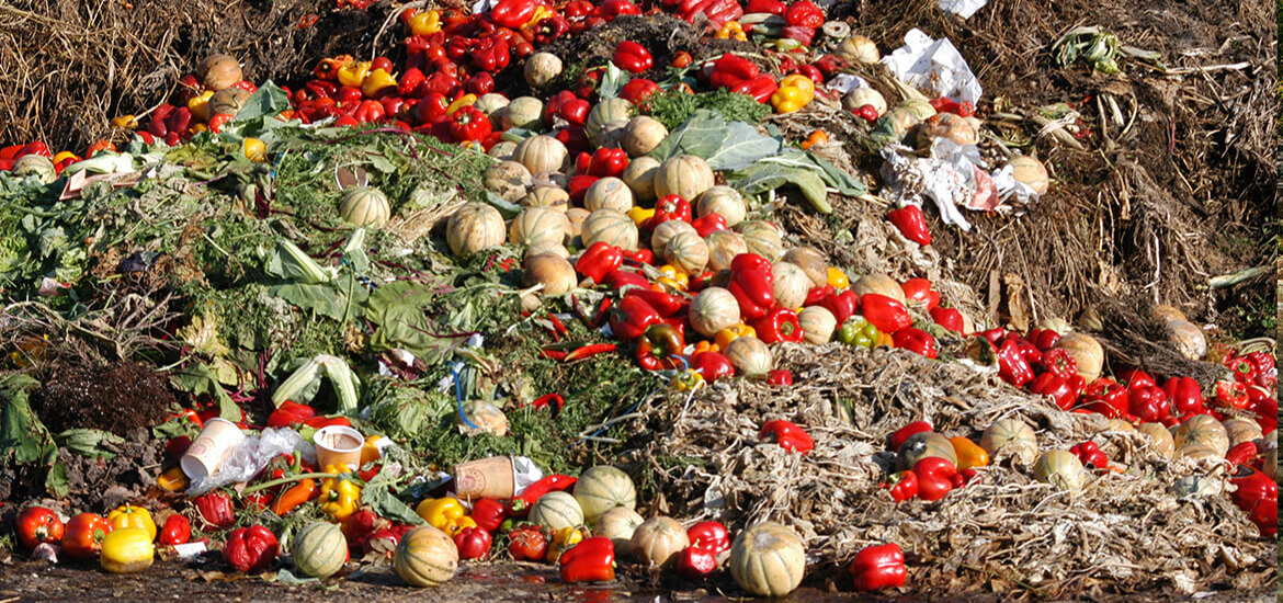 Picture of heap of food waste, including melons, red peppers, orange peppers, squash and yellow peppers.