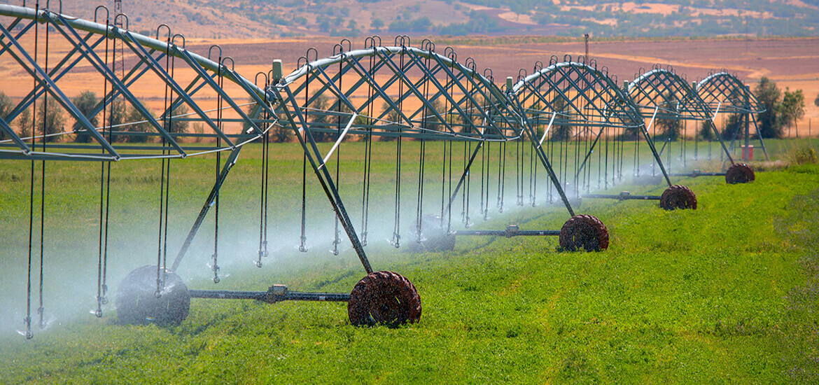 Image of high-efficiency irrigation equipment spraying water over young green crops in a sunny field.