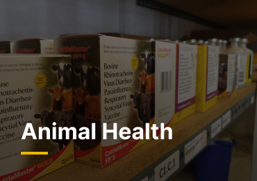 Photo of boxes of animal health products sitting on Simplot Western Stockmen's ag retail store shelves.