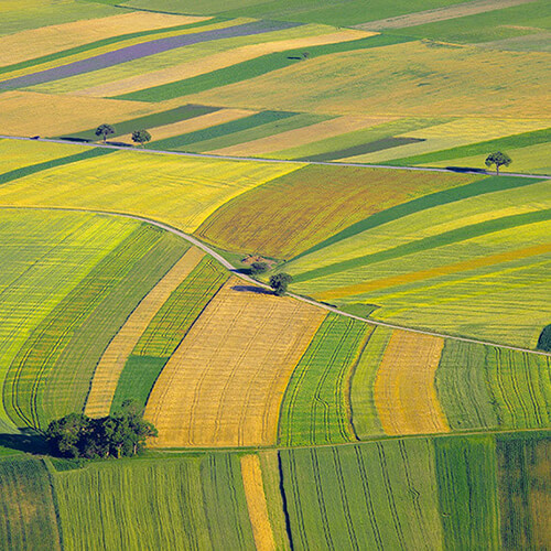 Image of sunny patchwork of farm fields seen from above.