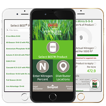 BEST Turf Fertilizer