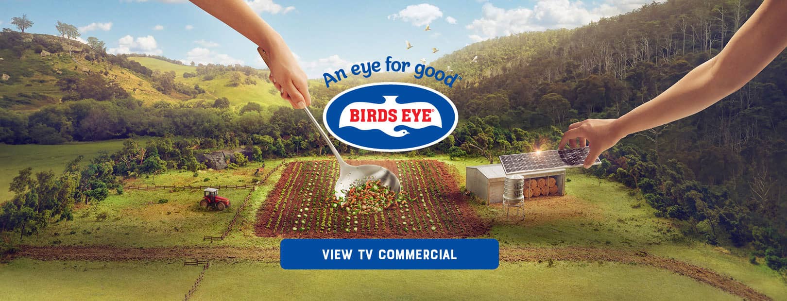 Birds Eye TV Commercial Teaser