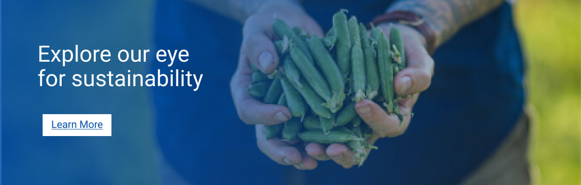 Banner image with background of hands holding green beans