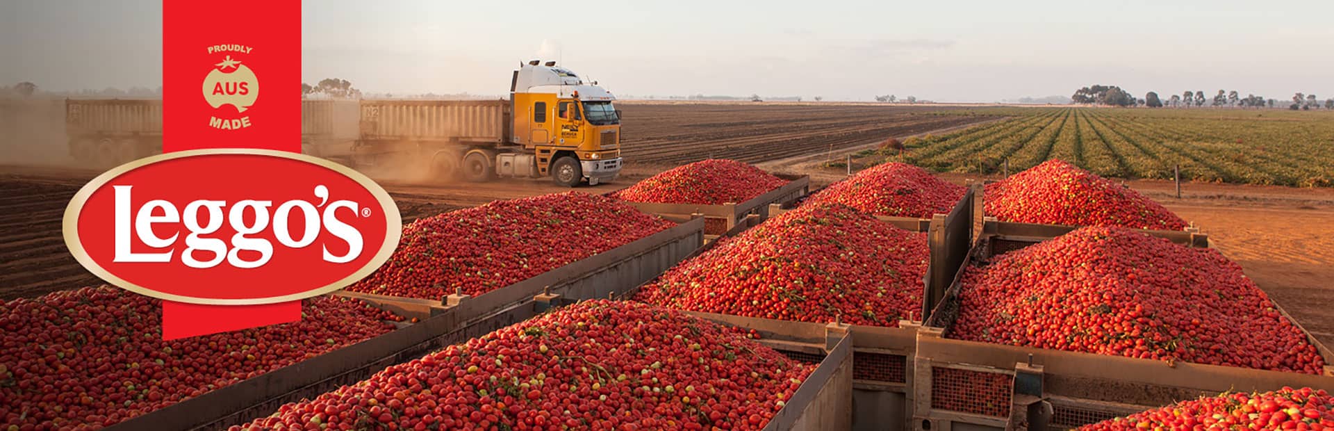 Trailer filled with tomatoes