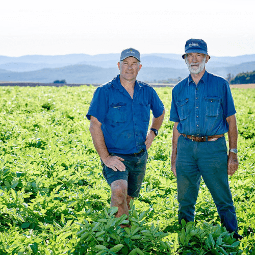 Two Simplot farmers in a field