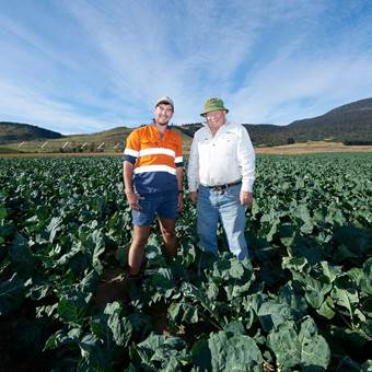 Two farmers in a field in Tasmania