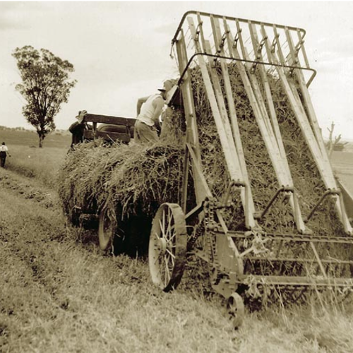 Vintage farm equipment
