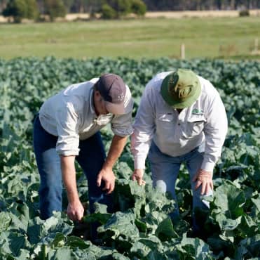 Man holding snap peas